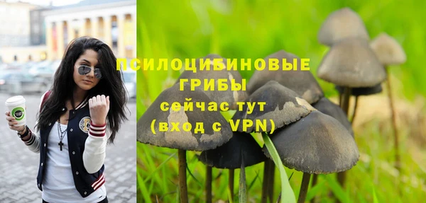 apvp Новокубанск